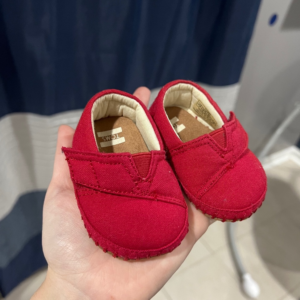 Baby toms